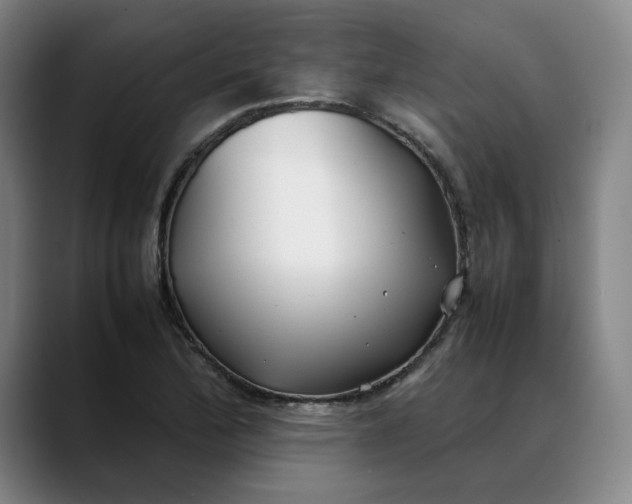 X0000088681172200706141349