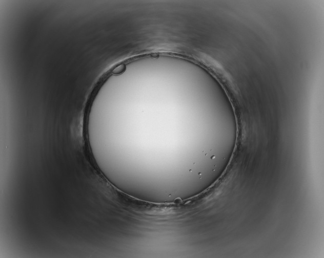 X0000088681174200706141349