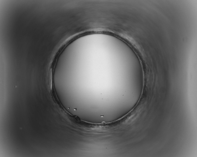 X0000088681175200706141349