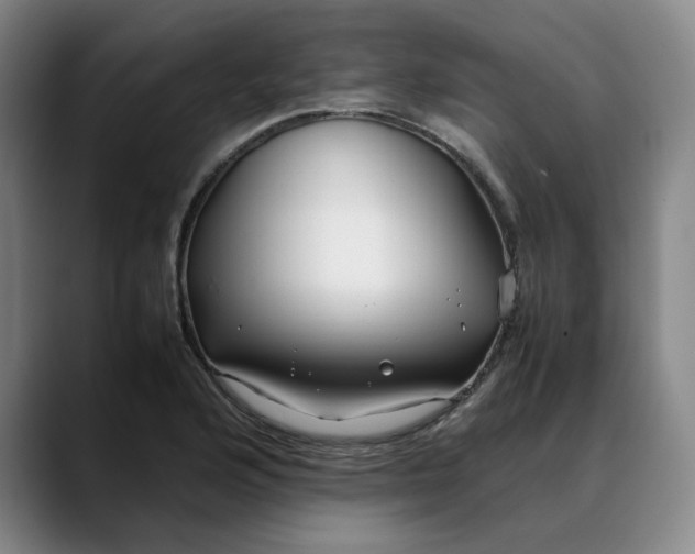 X0000088681176200706141349
