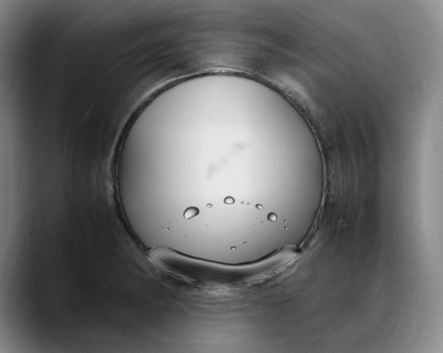 X0000088681182200706141349
