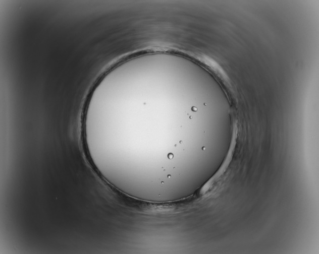X0000088681183200706141349