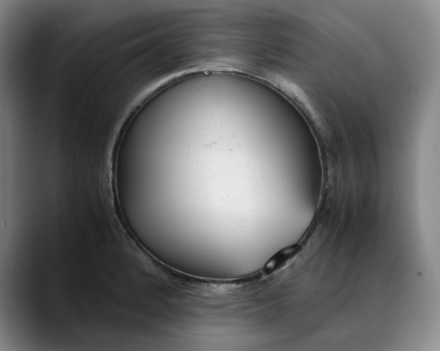 X0000088681184200706141349