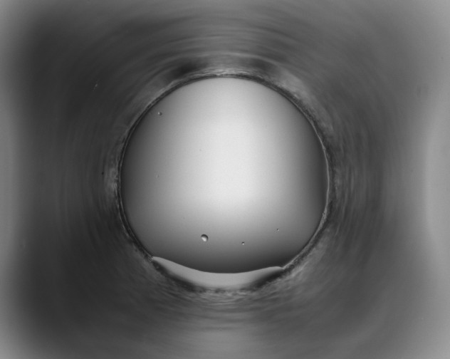 X0000088681185200706141349