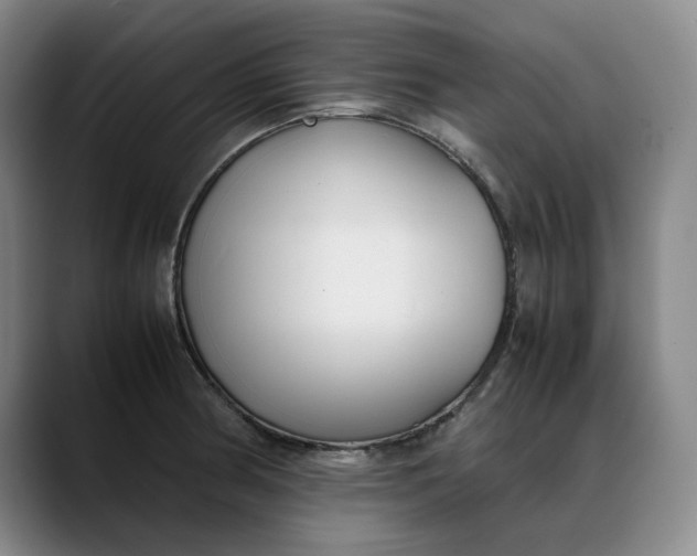 X0000088681186200706141349