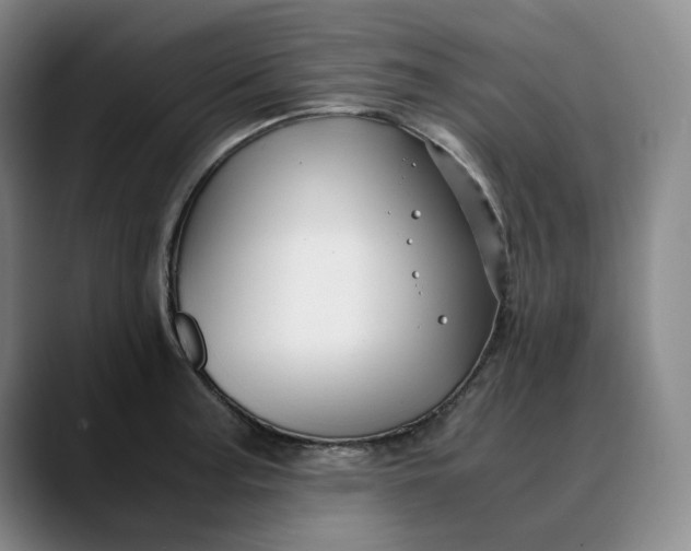 X0000088681187200706141349