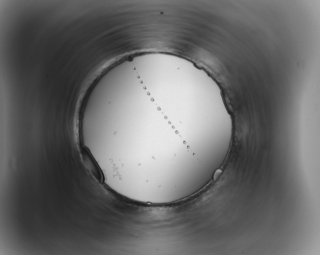 X0000088681188200706141349