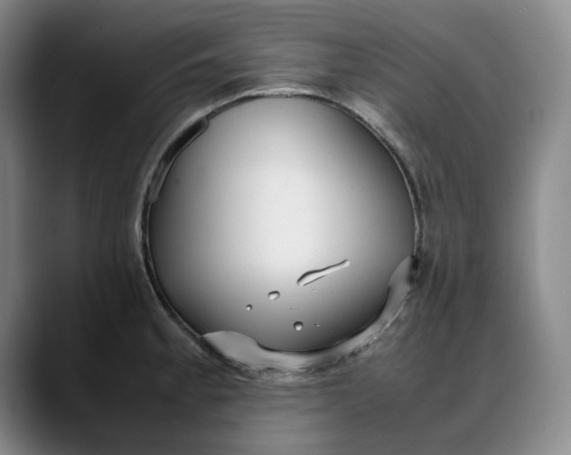 X0000088681189200706141349