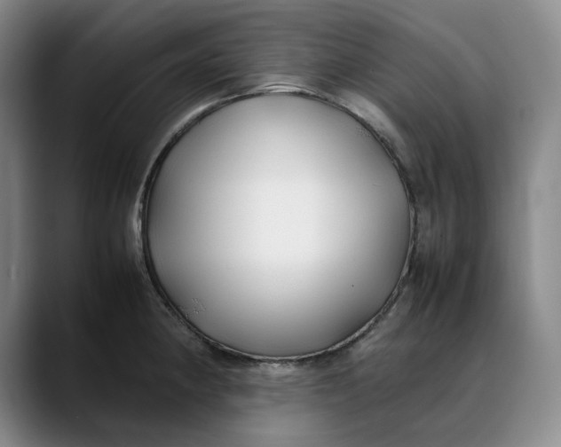 X0000088681190200706141349