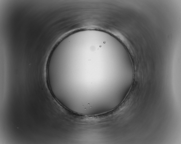 X0000088681191200706141349