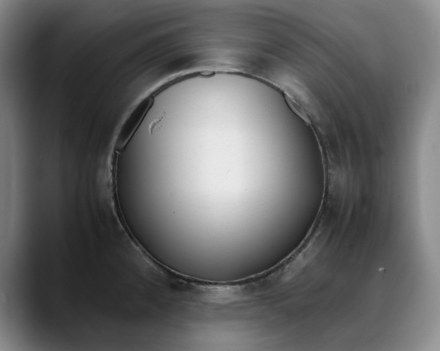 X0000088681192200706141349