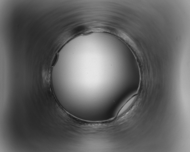 X0000088681193200706141349