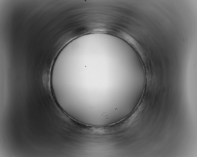 X0000088681194200706141349