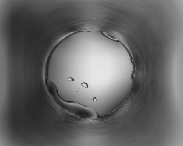 X0000088681195200706141349