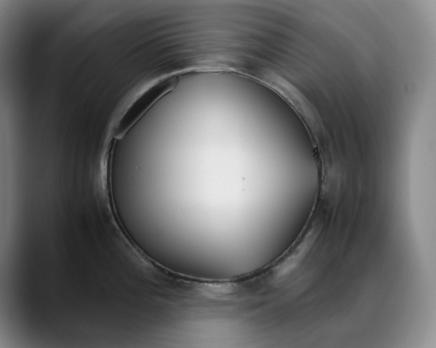 X0000088681196200706141349