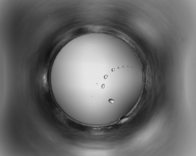 X0000088681198200706141349