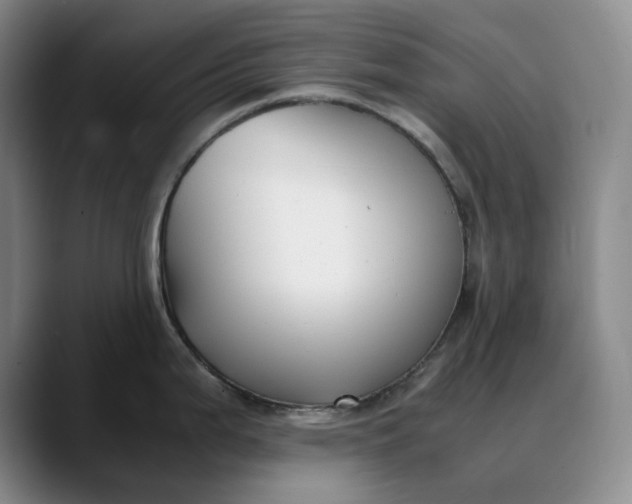 X0000088681199200706141348