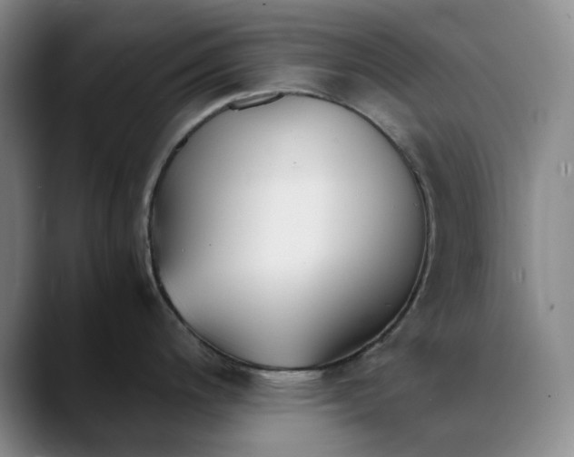 X0000088681200200706141348