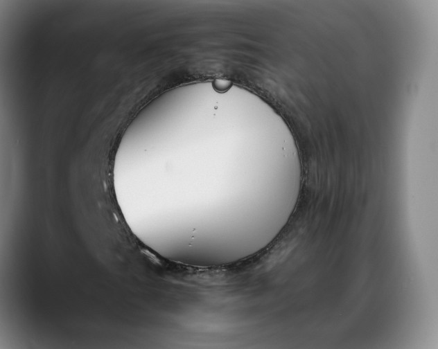 X0000088681201200706141348