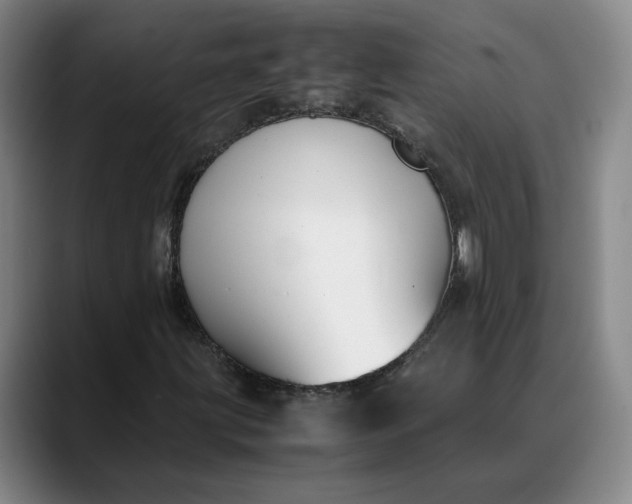 X0000088681203200706141348