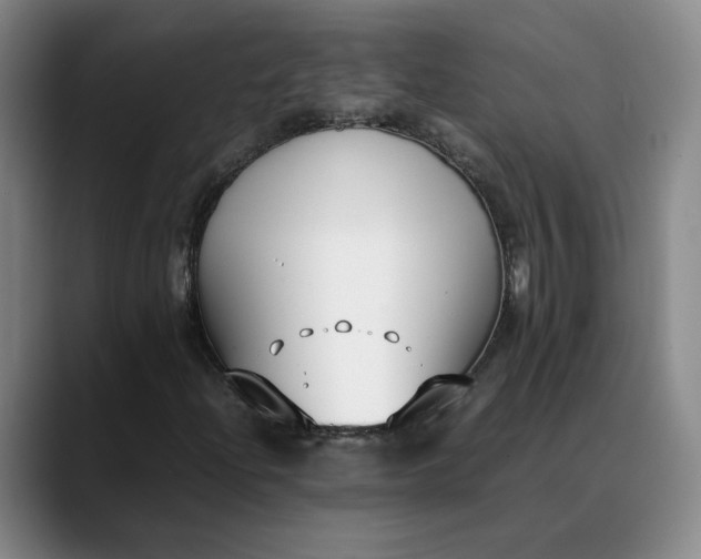 X0000088681204200706141348