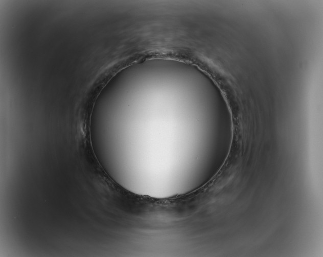 X0000088681206200706141348
