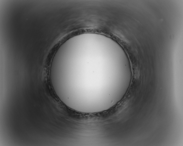 X0000088681208200706141348