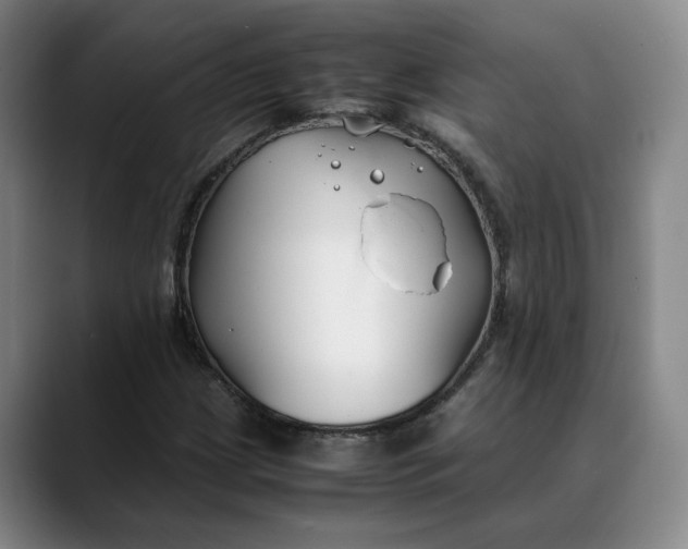 X0000088681209200706141348