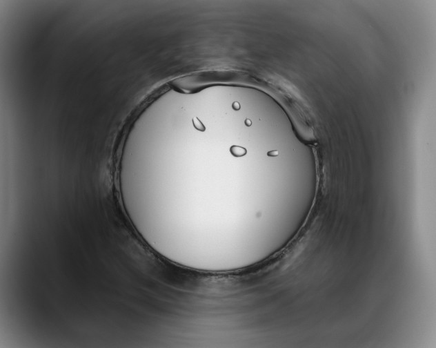 X0000088681212200706141348