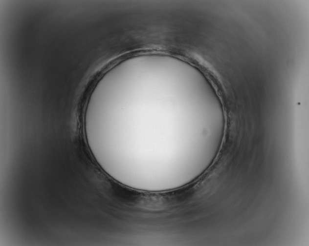 X0000088681215200706141348