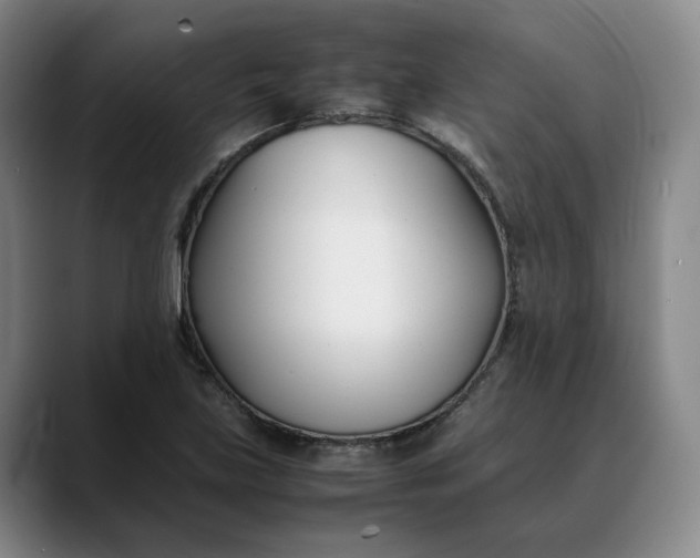 X0000088681219200706141348