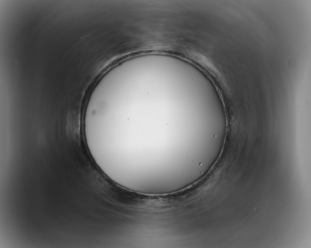 X0000088681220200706141348