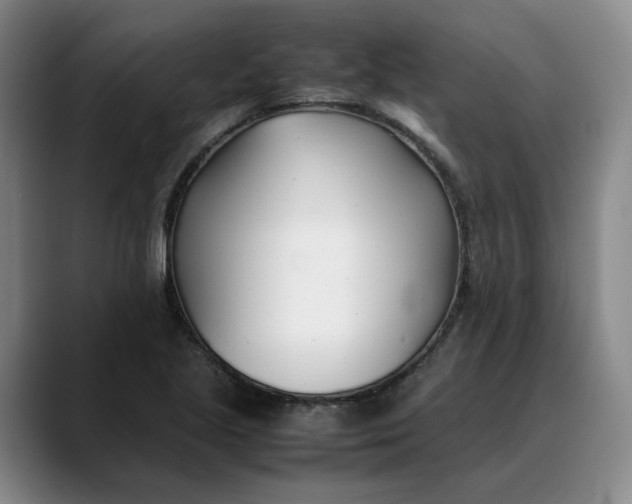X0000088681221200706141348
