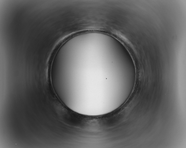 X0000088681222200706141348