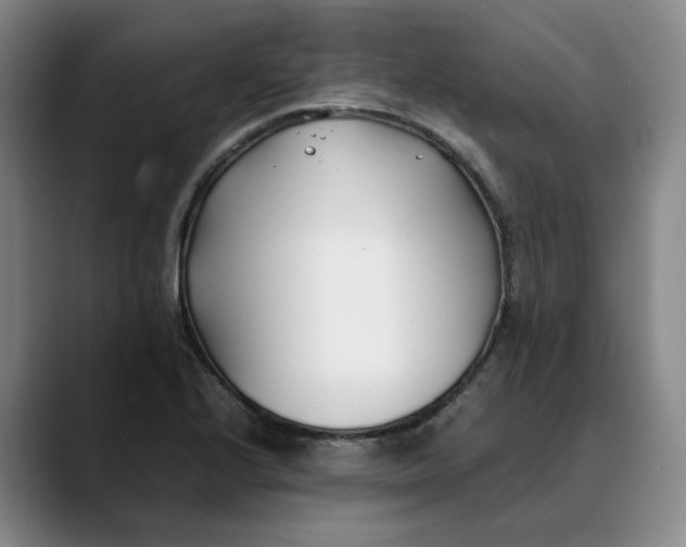 X0000088681224200706141348