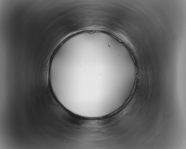 X0000088681228200706141348