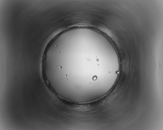 X0000088681229200706141348