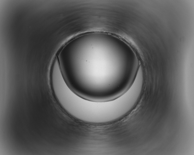 X0000088681230200706141348