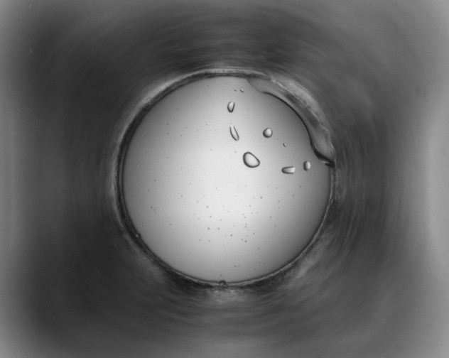 X0000088681231200706141348
