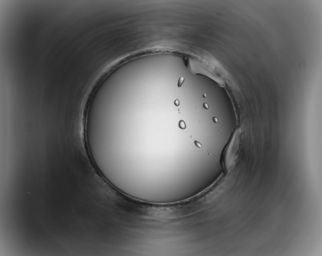 X0000088681232200706141348