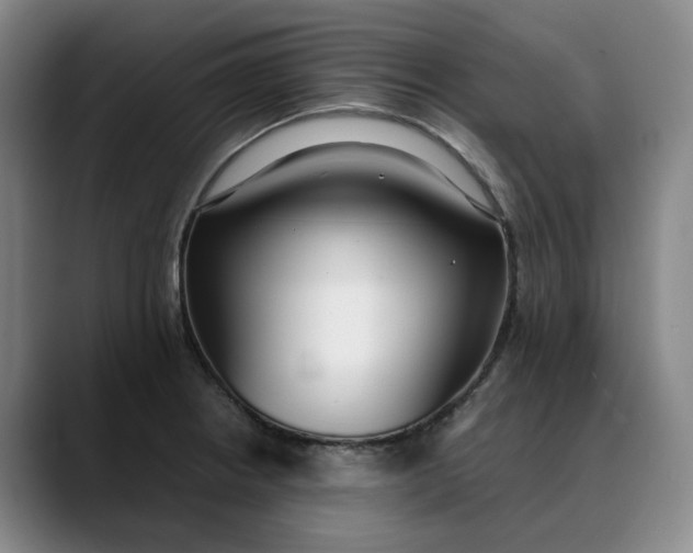 X0000088681234200706141348