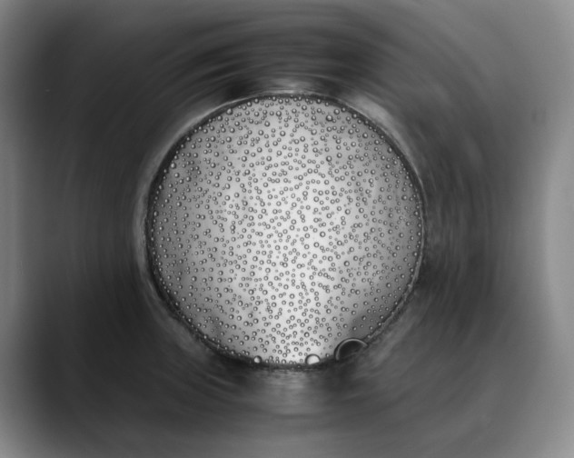 X0000088681235200706141348