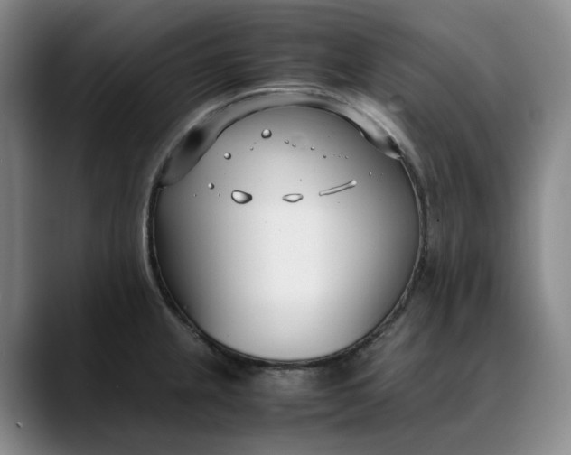 X0000088681237200706141348