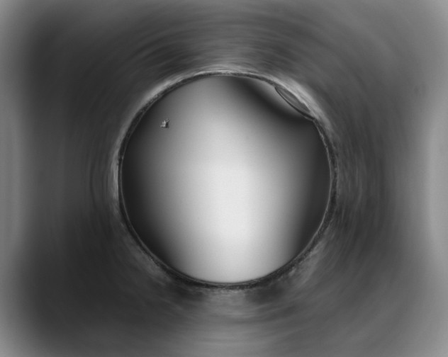 X0000088681238200706141348