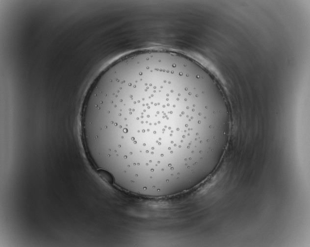 X0000088681239200706141348