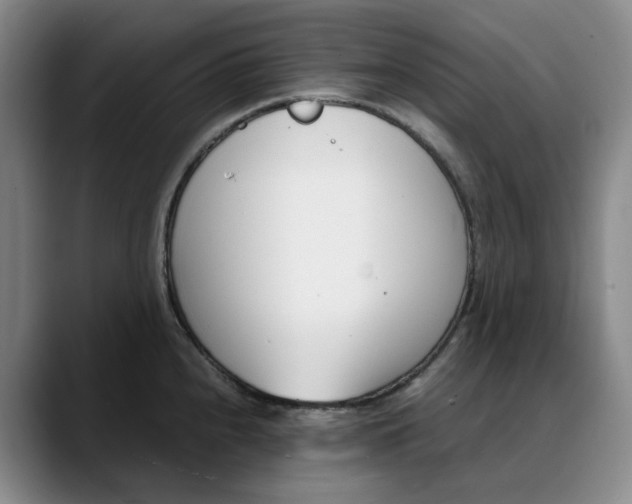 X0000088681240200706141348