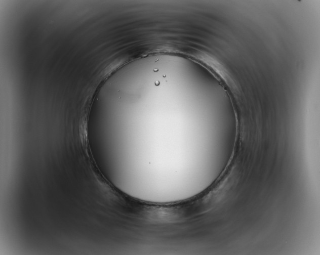 X0000088681241200706141348