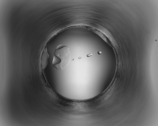 X0000088681242200706141348