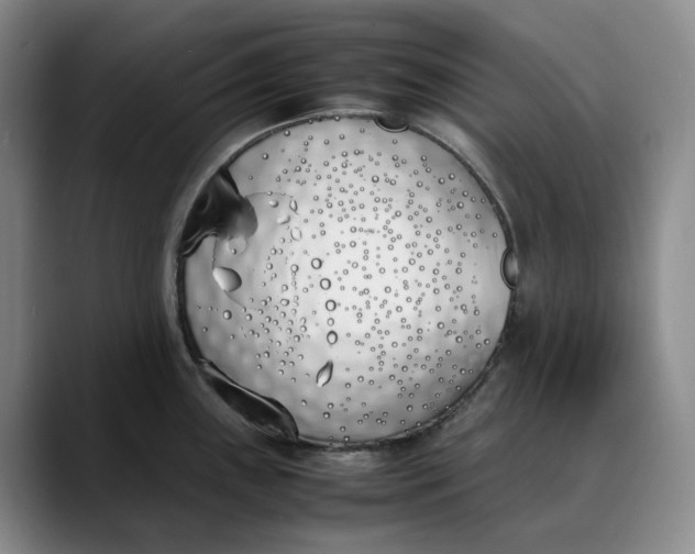 X0000088681243200706141348