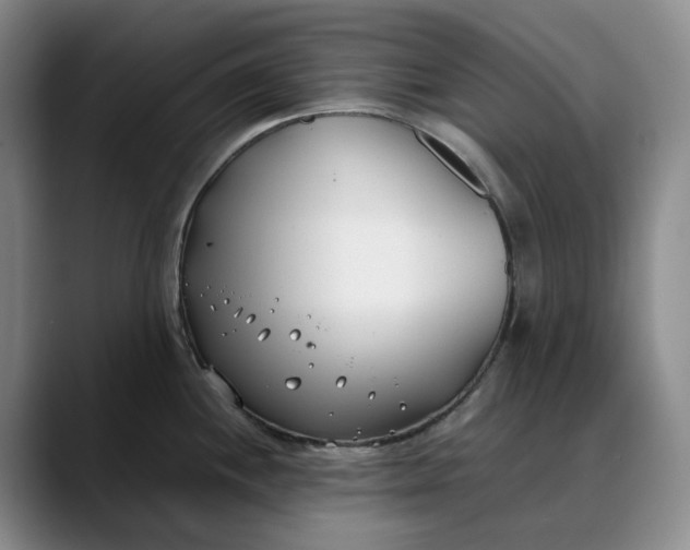 X0000088681244200706141348
